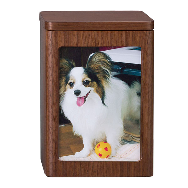 「星粒の箱 アライブ ミニ ウォールナット」 手元供養 遺骨の保管 納骨 粉骨 洗骨